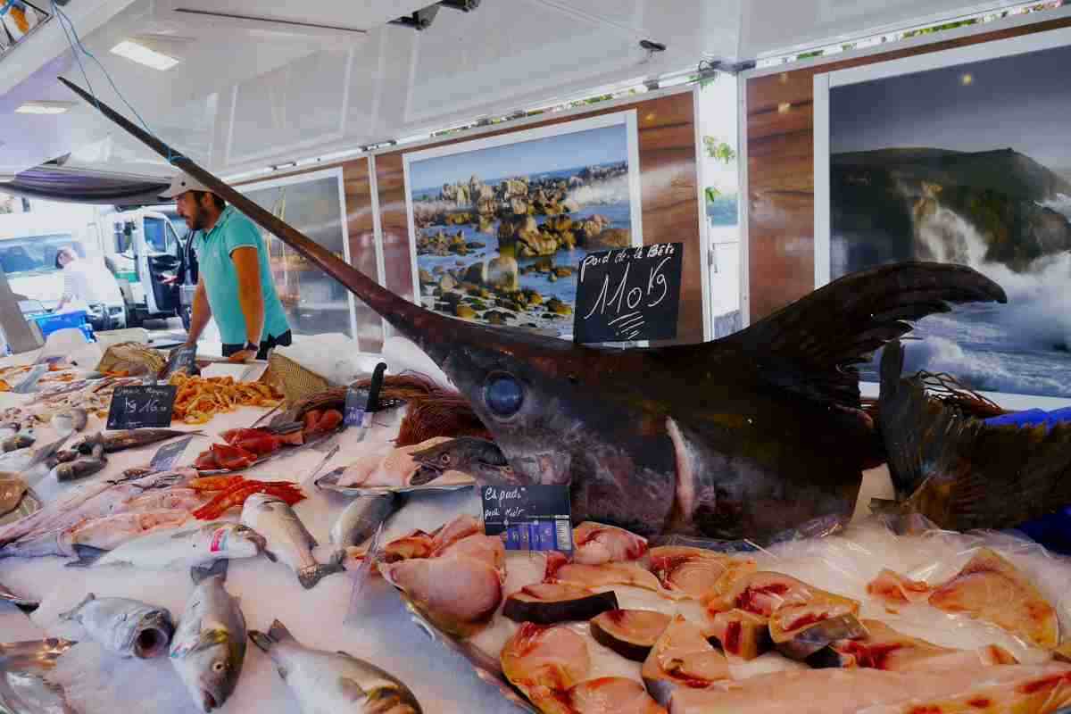 Come riconoscere pesce fresco e pesce surgelato