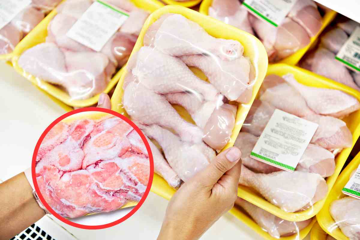 Quale' la differenza tra il pollo giallo e bianco