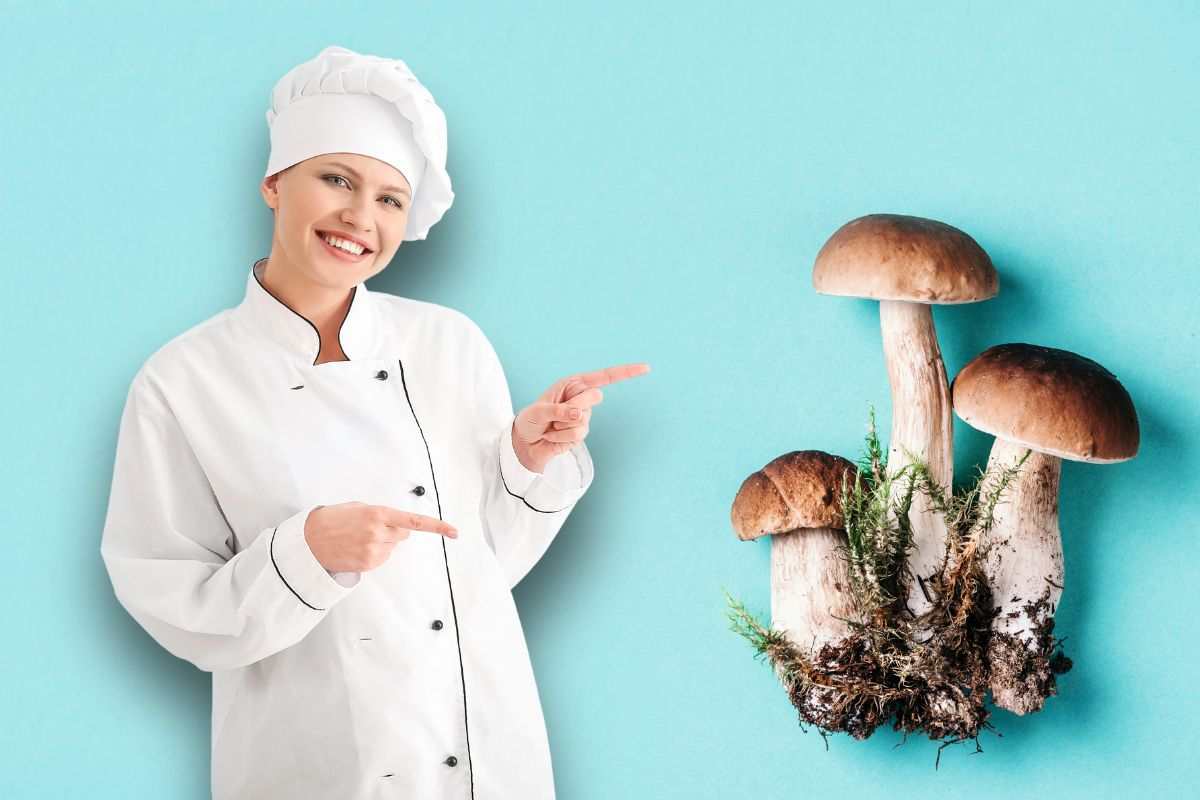 Come evitare di rovinare i funghi porcini