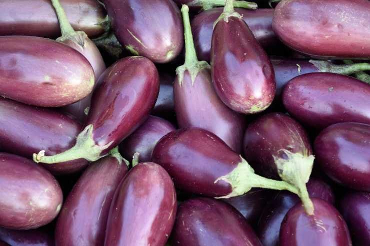 Timballo di anellini, tutti i passaggi e cosa ci occorre