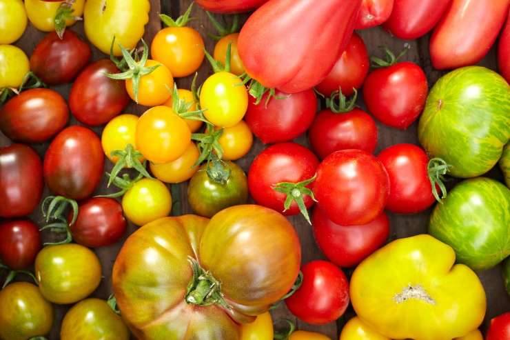 ricetta pasta ai tre pomodori