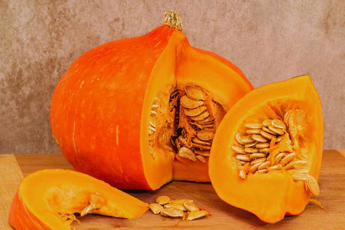 zucca e come pulirla